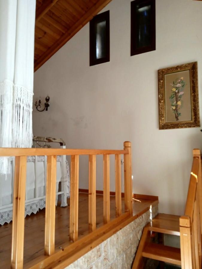 Alexadras Guesthouse Ampelochori Extérieur photo